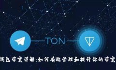 TRX钱包带宽详解：如何有效管理和提升你的带宽